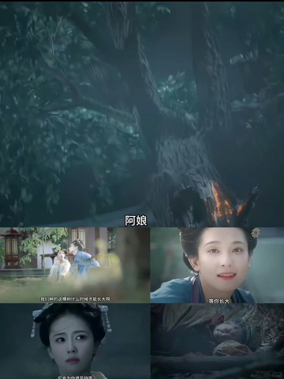 莫离又一个名场面白鹿丞磊这一刻演技封神高光戏份来袭，复杂的情绪在两人之间流转，精