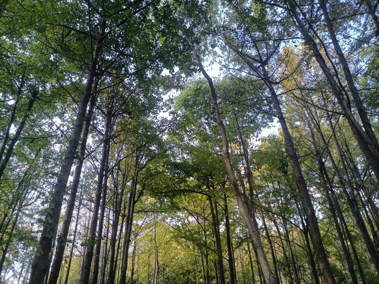 办公室的外地男，没有大格局，都是小心眼，睚眦必报，有的还想找魔都女孩，会因为利益