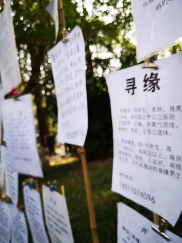 关于婚姻的选择告诉您:
女性朋友:“不结婚和结婚的选择”，不结婚，不过是少了配偶