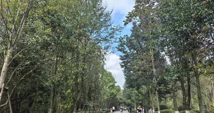 今夜起，贵阳降雨降温！