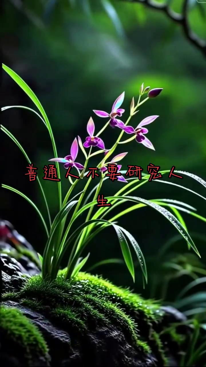 普通人不要研究什么人生意义。说句扎心的话，像我们这些普通人的人生没有意义，我们身