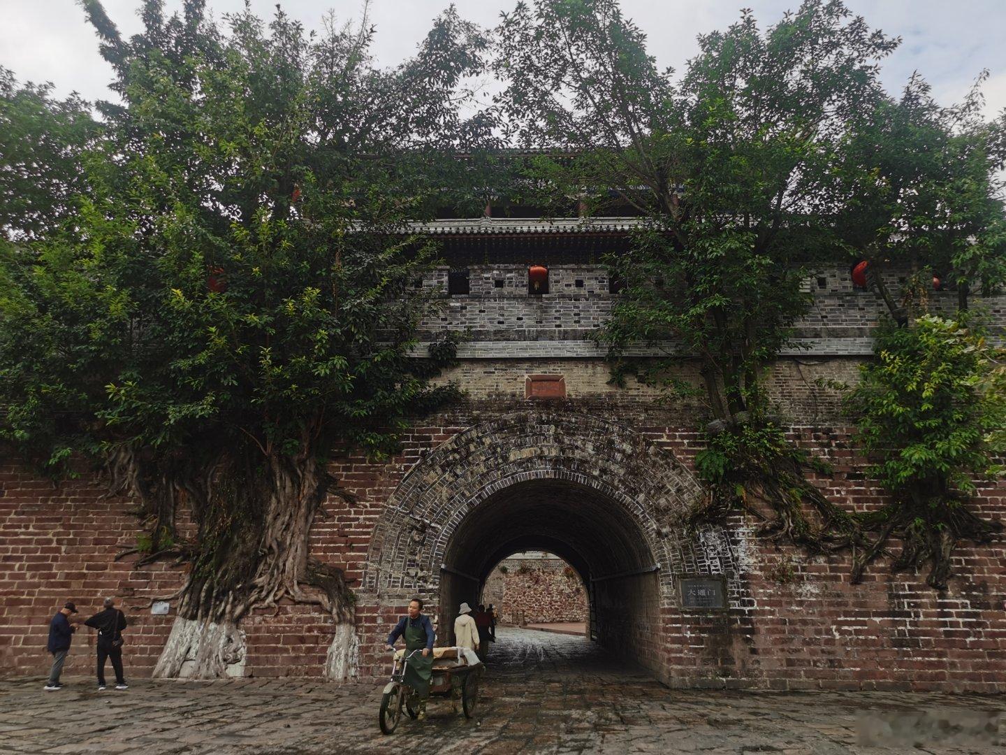 这是四川西昌的建昌古城的城门。城门两侧的城墙上，长着两棵大古树。有意思的是，这两