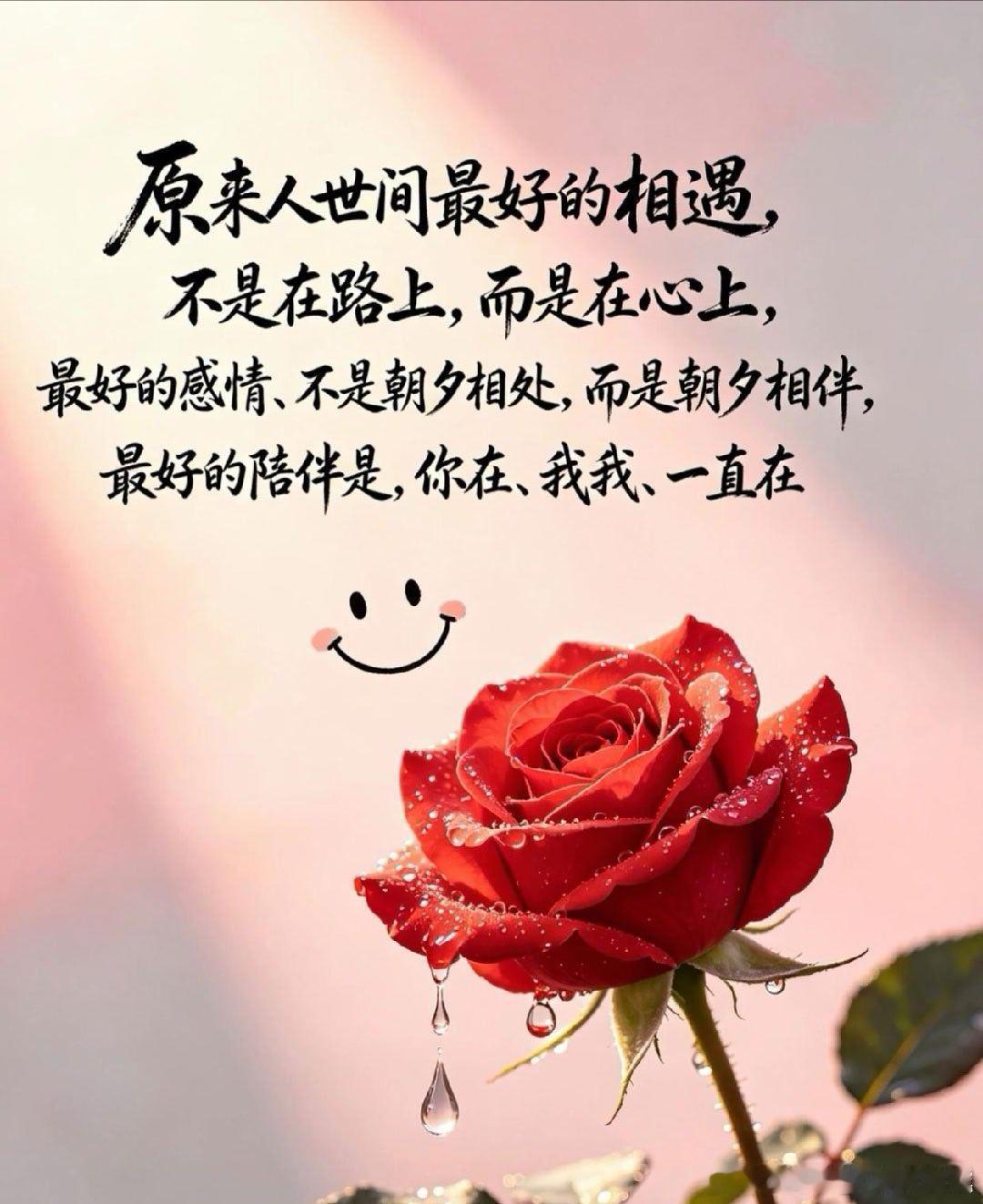 幸好，我等到了你有人说，人生所有美好的相逢，都需要漫长的铺垫。 就像四季轮回，熬
