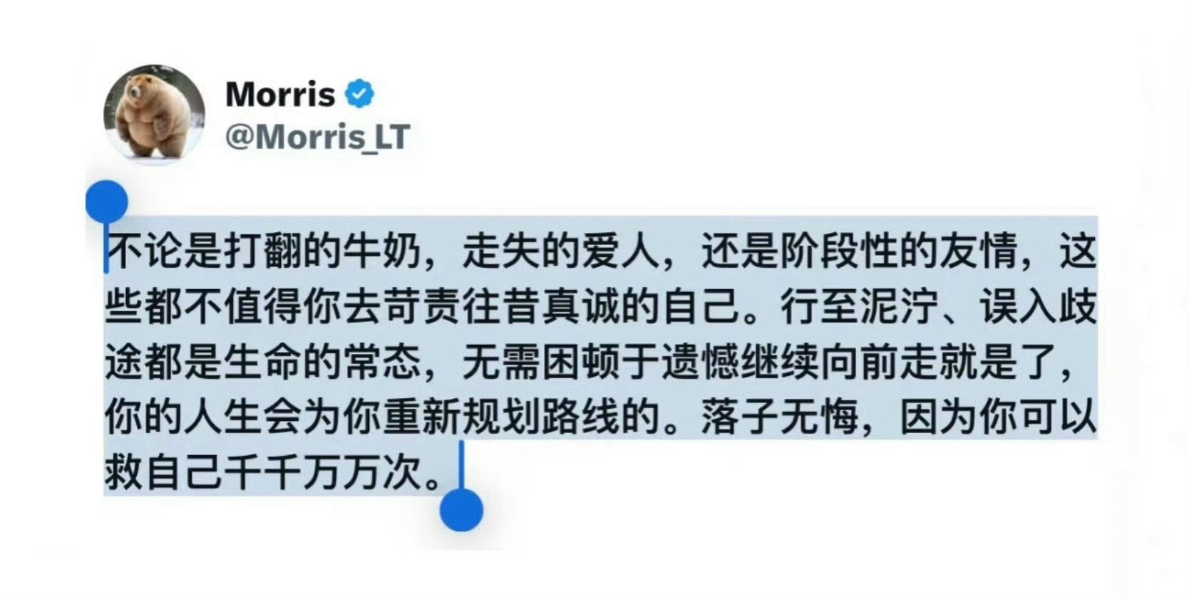 发现一句令人振奋的话语 