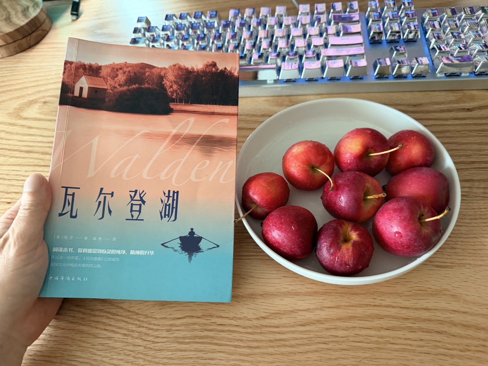 下午把《瓦尔登湖》摊桌上，翻到划红线那句「有的人精神丰富，物质贫穷」，手机在旁边