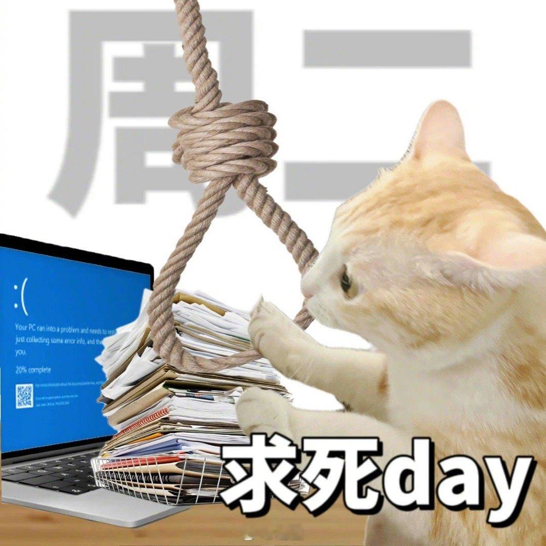 宝宝们早上好呀，今天周✌️ ​​​