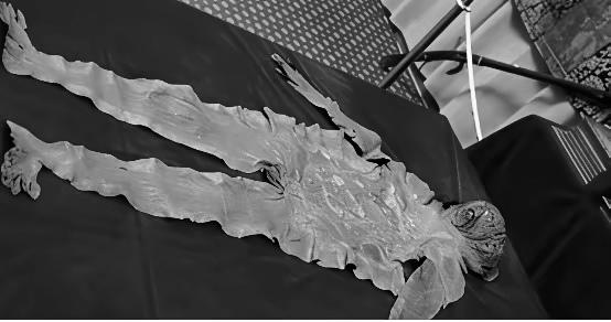 1393年，朱元璋下令将蓝玉剥皮，蓝玉破口大骂说："陛下说我谋反，属实诬陷，陛下