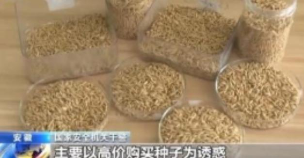 “应该立即死刑！”央视新闻在4月14日曝光了一起惊天大案：我国杂交水稻之父袁隆平