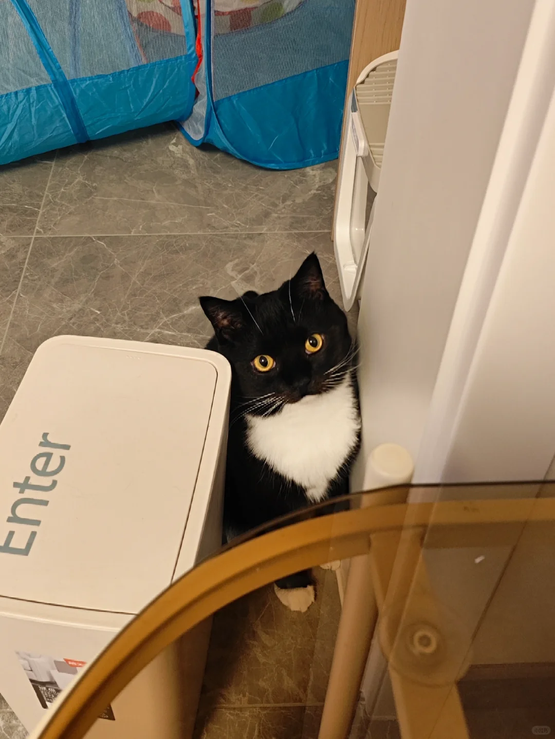 宝宝，你是一个毛绒玩具