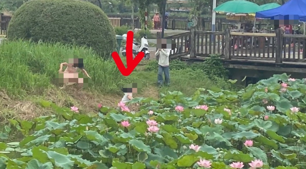 【玉林五彩田园女子疑拍掉进荷花池里】6月10日，玉林市五彩田里一荷花池旁边疑似女