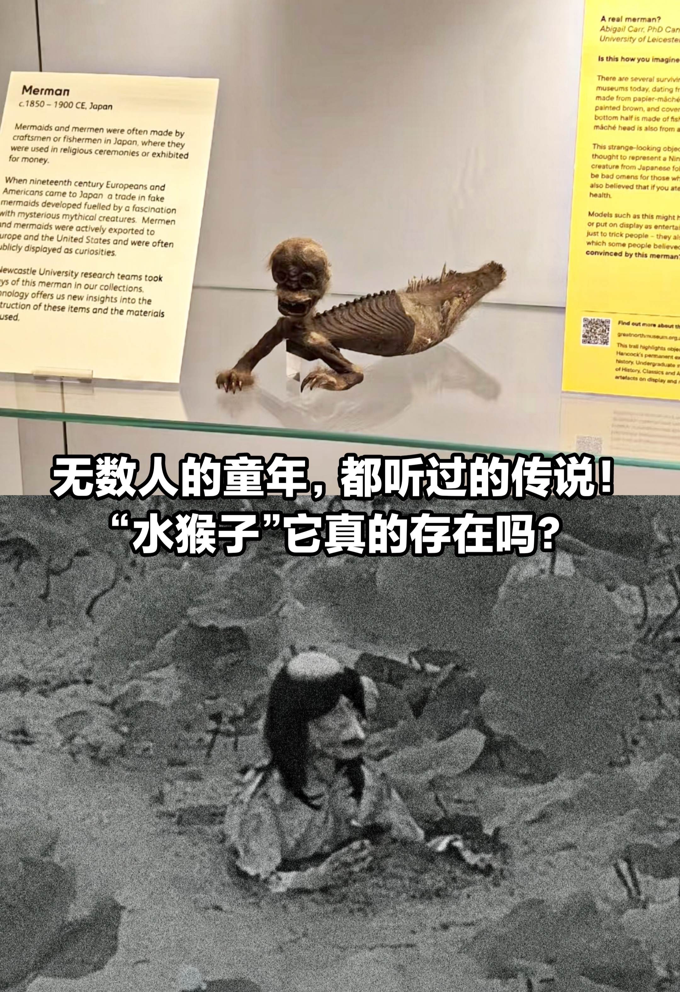 无数人童年听过的传说：“水猴子”