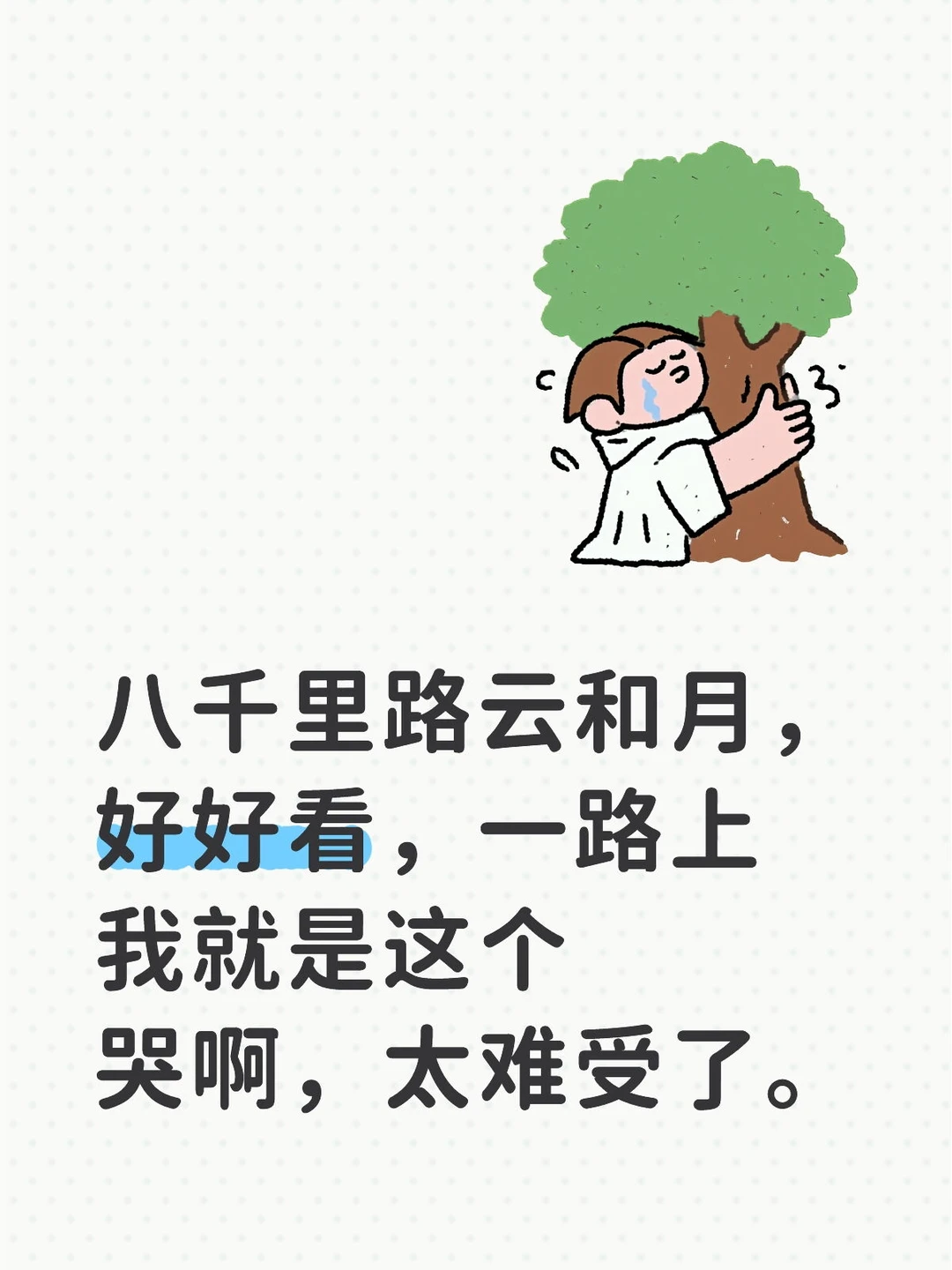 强推影视剧《八千里路云和月》