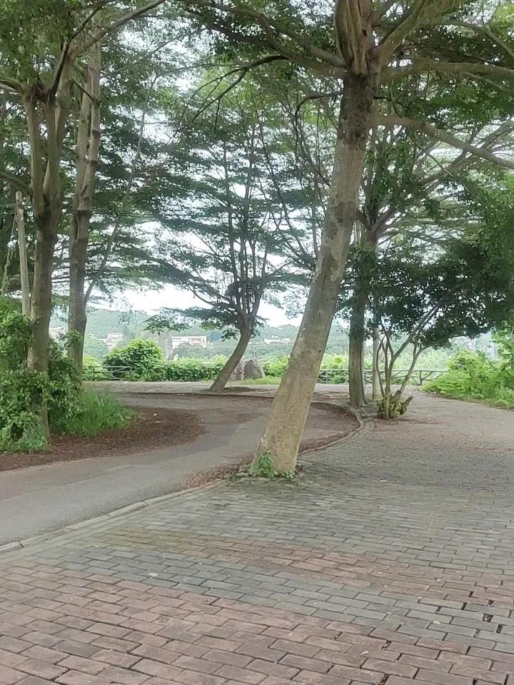 上周绕开拥堵的高速，走了30多公里的乡道回外婆家，才发现平时错过的风景有多绝。