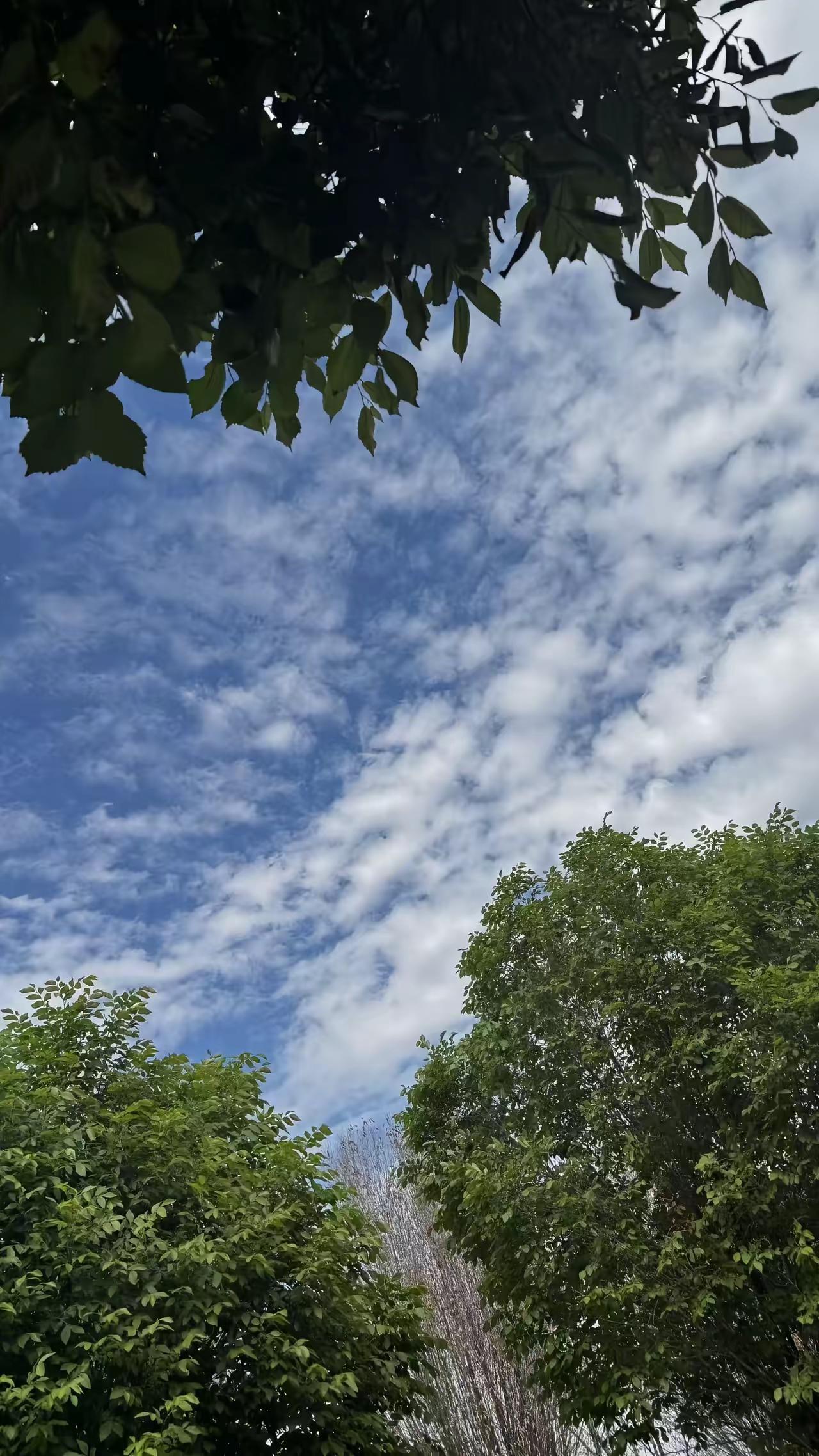 🐟.你头顶的天🈳真的很美.