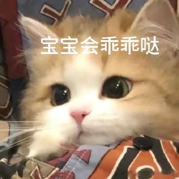 GenJI在直播间贴脸开大悟空安全 作为一个喜欢尝试各种AI工具的人，电脑卡顿一