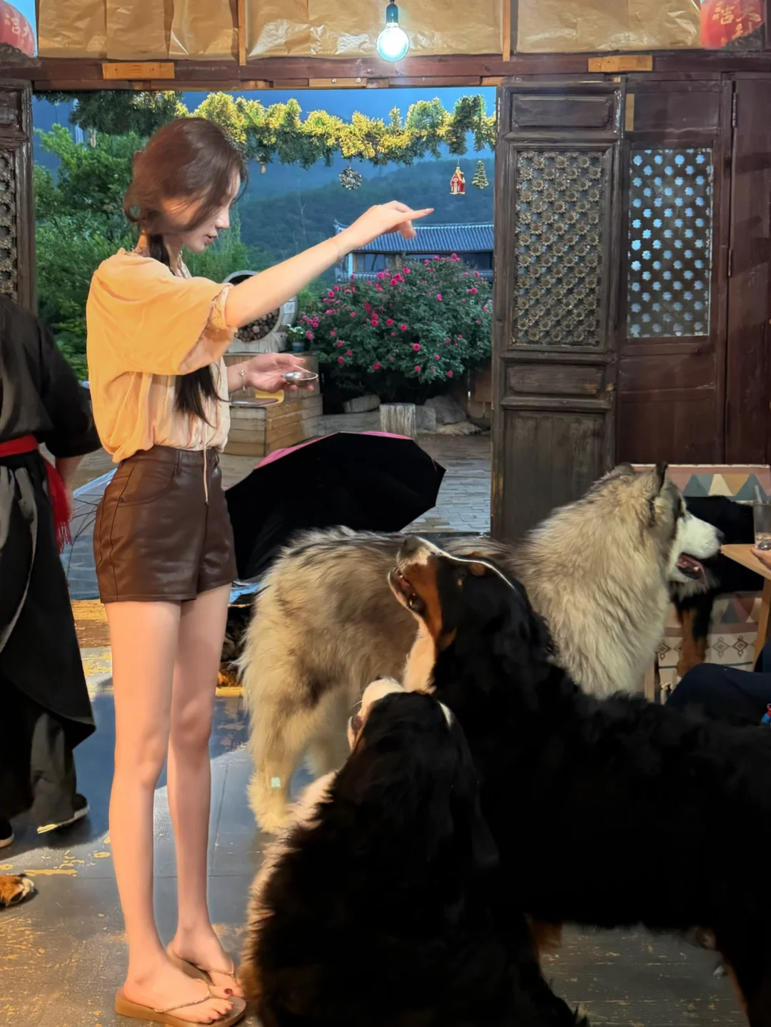 我和我的小伙伴们🐩