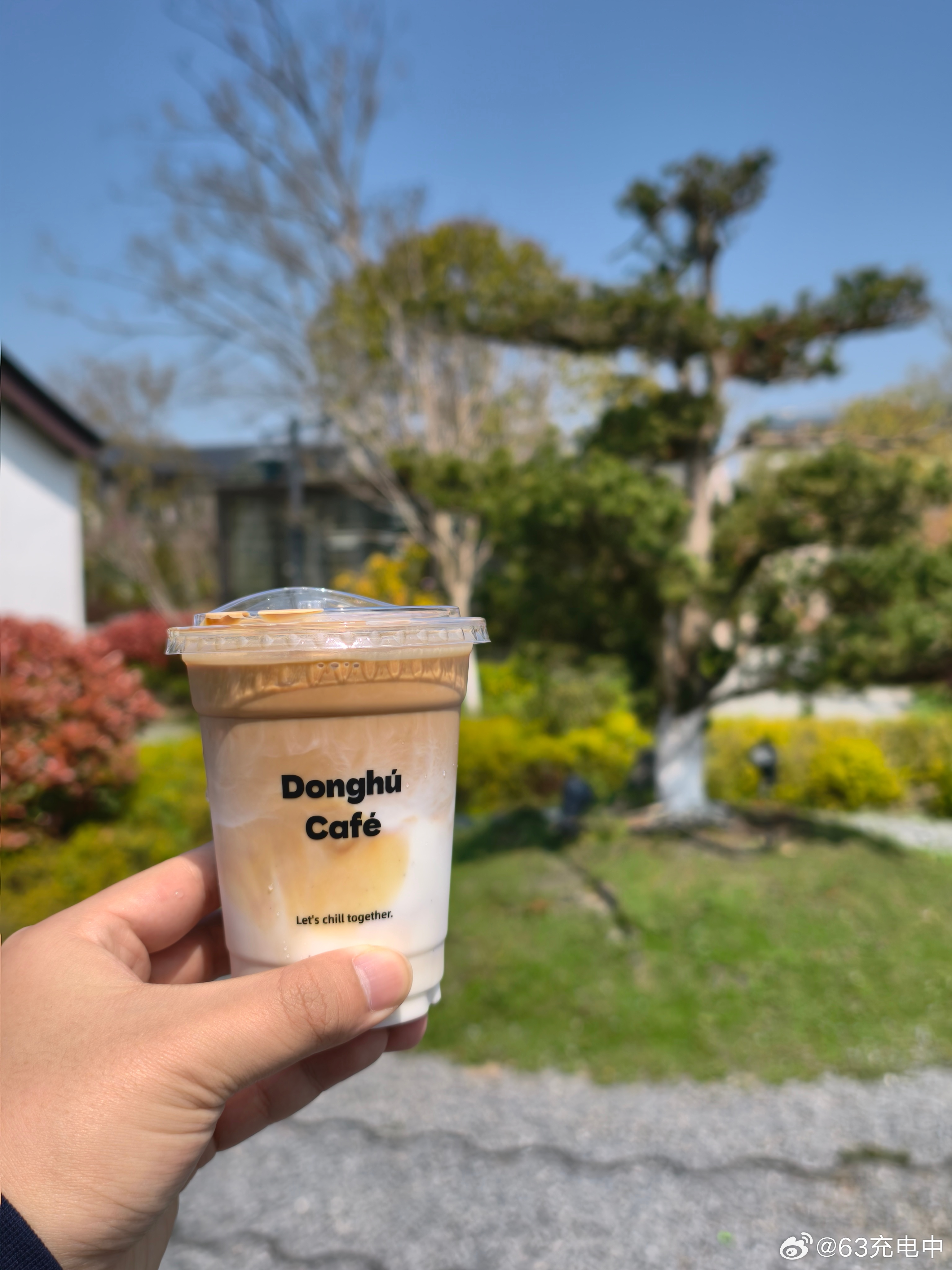 早上好☀️满园春色它关不住的🌳🌳 海宁·东山公园