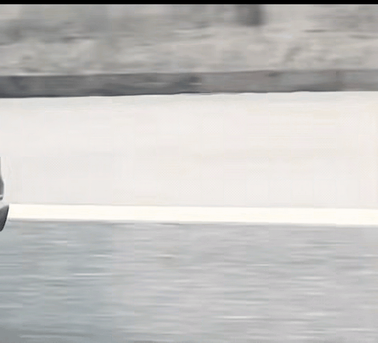 聪明的那只鸡已经吓晕了，糊涂的那只鸡还在傻乎乎地欣赏这沿途的风景，感叹这世界之大