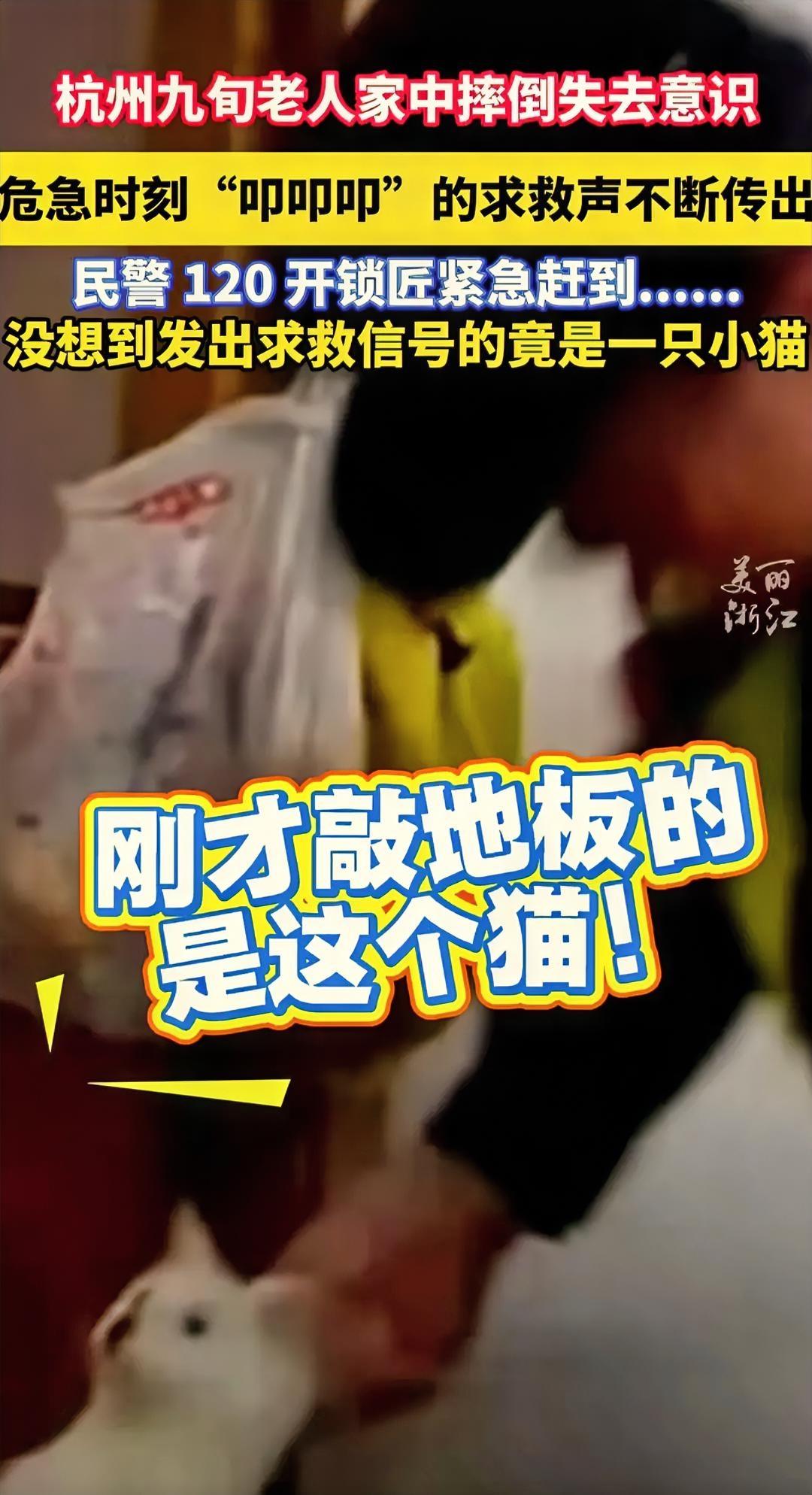 杭州一热心老板按约定上门给一九旬老人修煤气灶时，敲门没人开门，门内只是传来敲击地