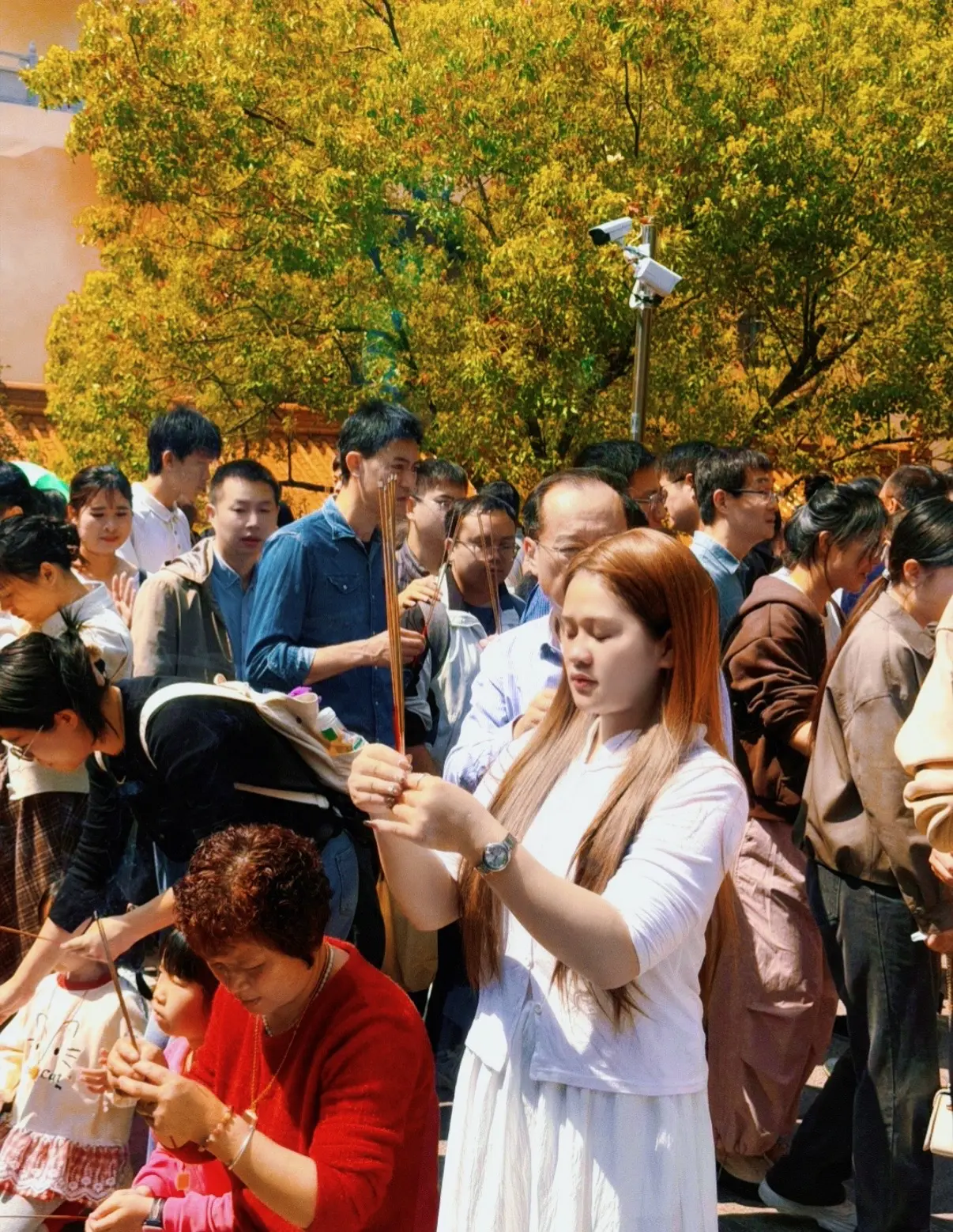 命里有时终须有，命里无时我强求，我乱求，我硬求，我来寺庙求