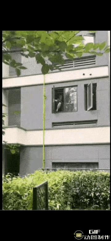 这个小姐姐身手了得，穿着红色睡衣，从2楼窗户爬出来，再顺着煤气管溜到地面上，身手