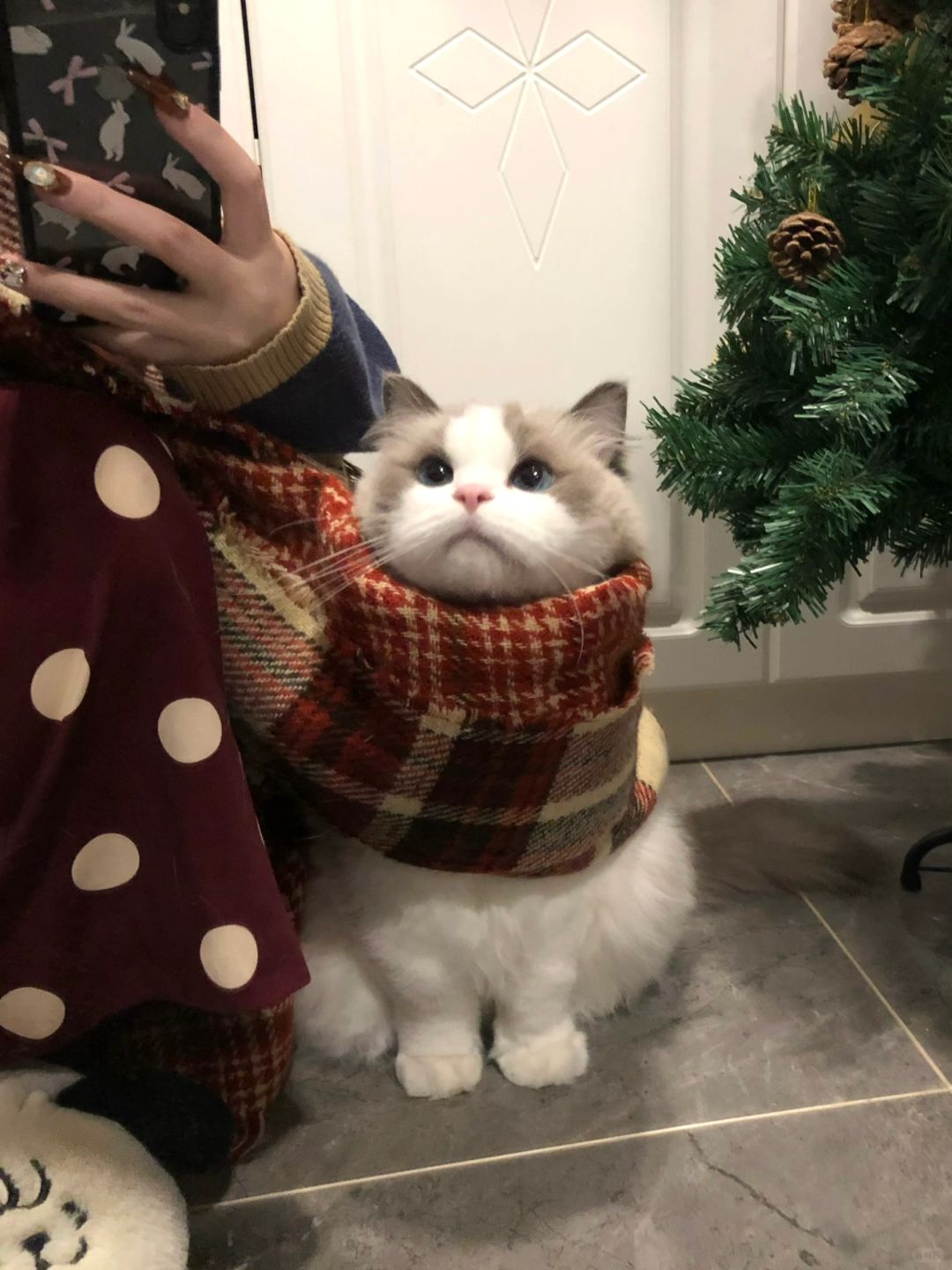 妈妈其实我没这么冷