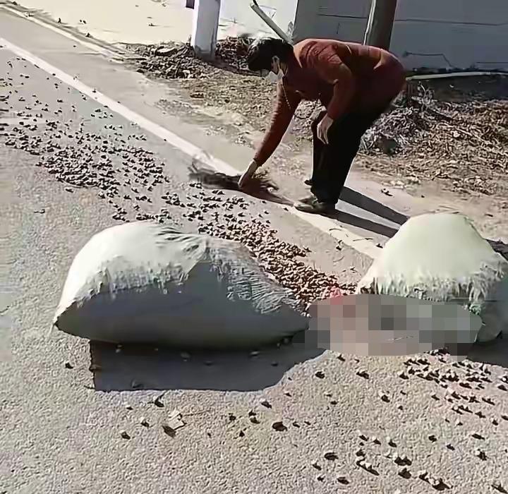 【后视镜看不见的温暖：她骑电动车狂追5里，就为四个麻袋】

河南周口的梁大姐，最