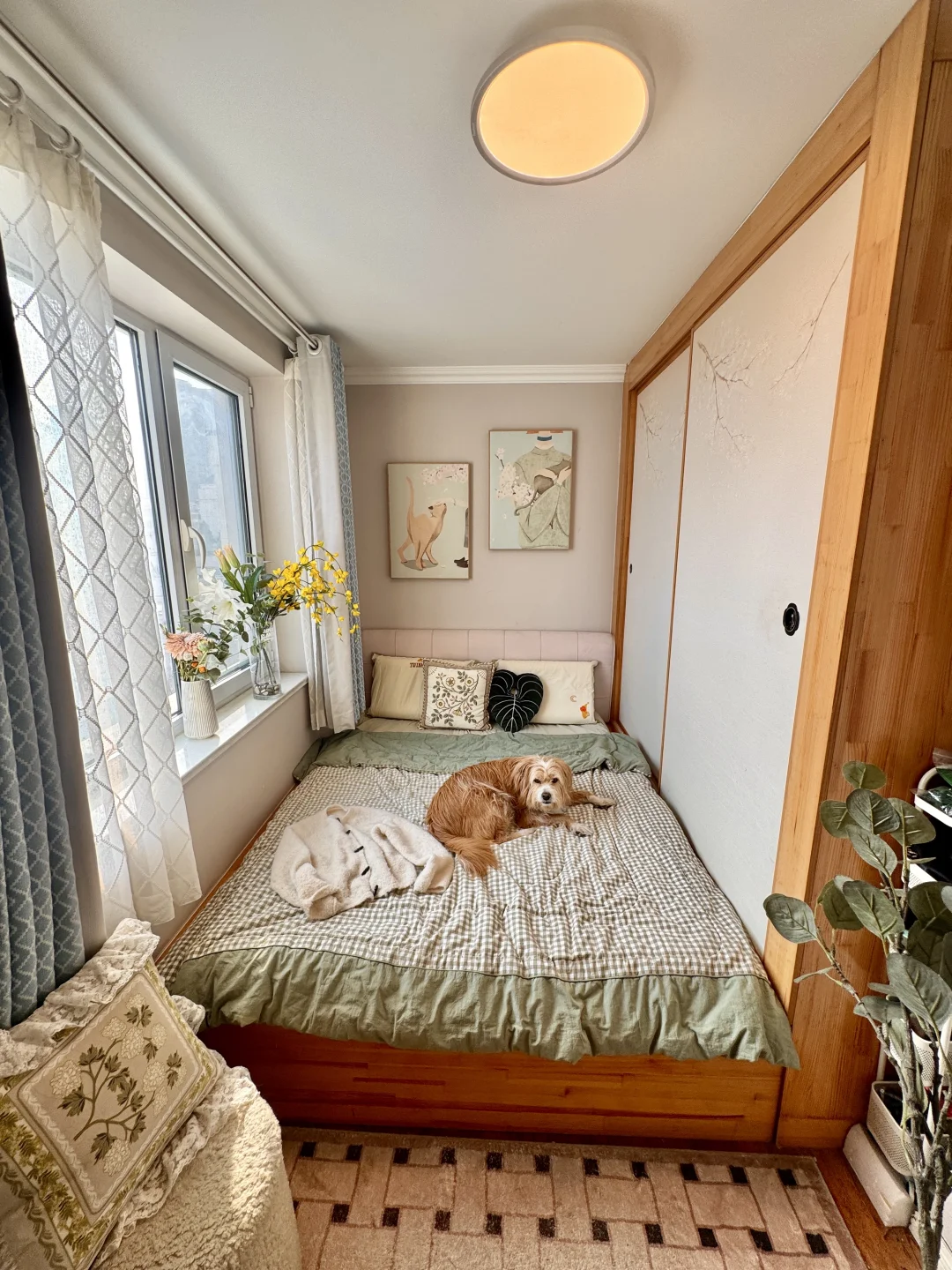 我妈说，这小房间这样布置怎么这么好睡啊？