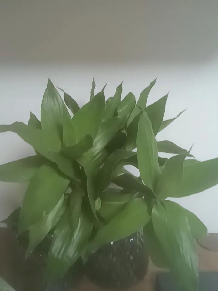 早睡早起，身体棒棒！
