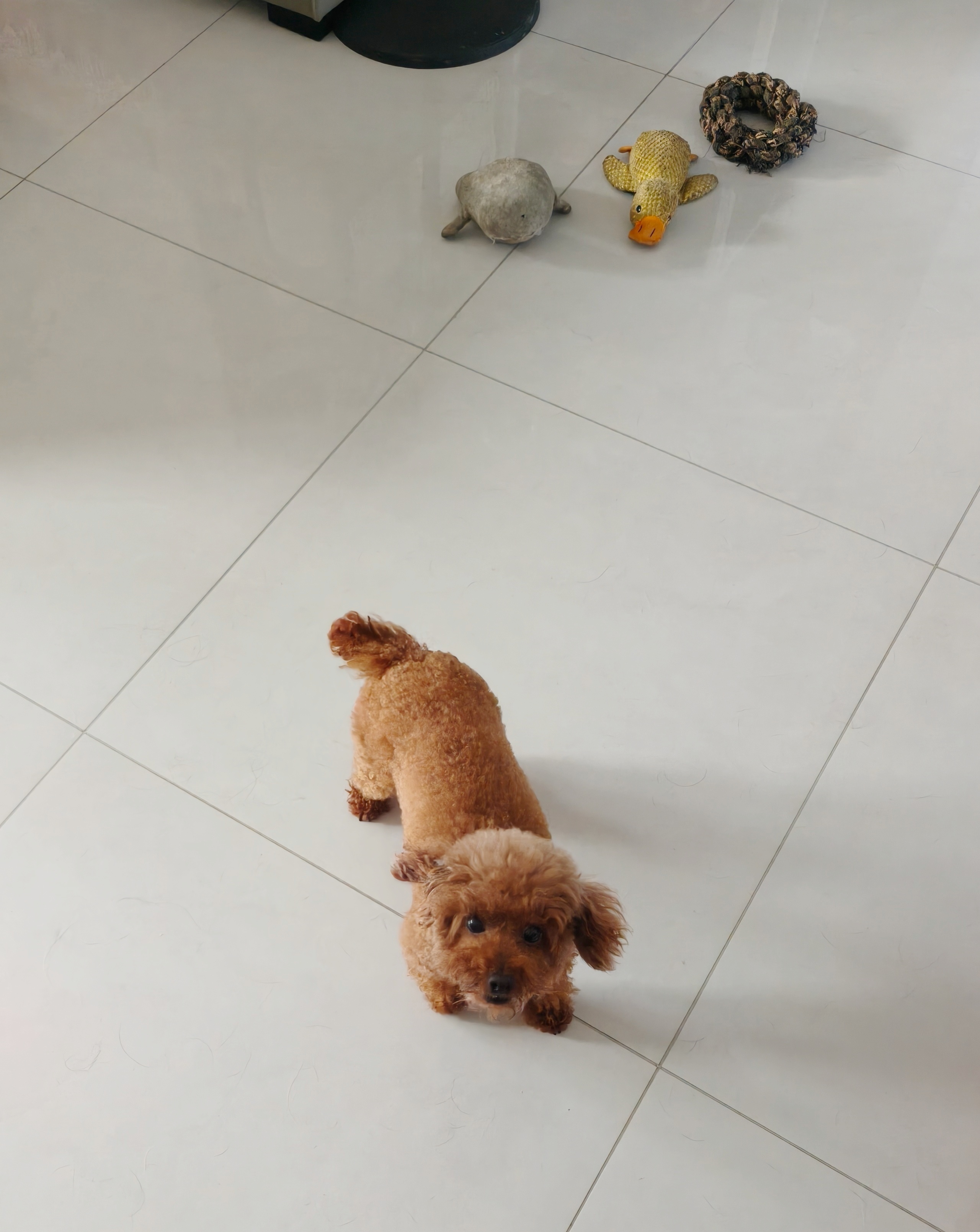 呆萌的孩子