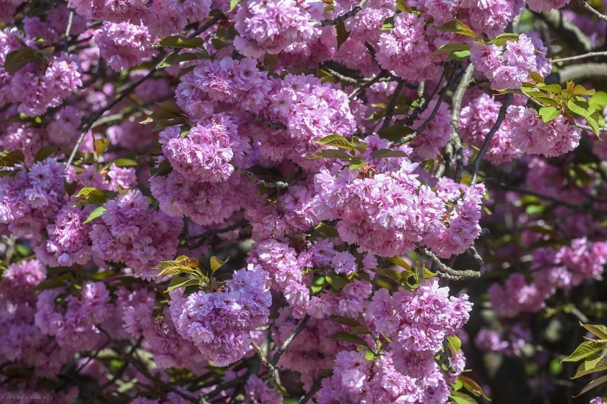 我们常常为错过一些东西而感到惋惜，但其实，人生的玄妙，常常超出你的预料，无论什么