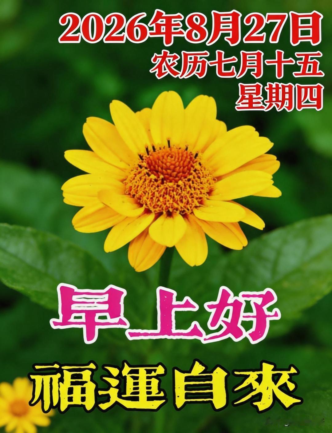 高校允许带宠物上学你支持吗不支持。高校是学习的地方，不是娱乐场所，猫猫狗狗在校园
