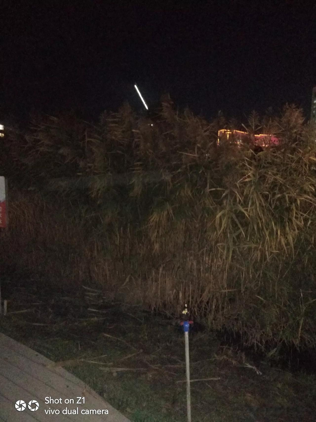 夜色笼城楼，星河映月楼。