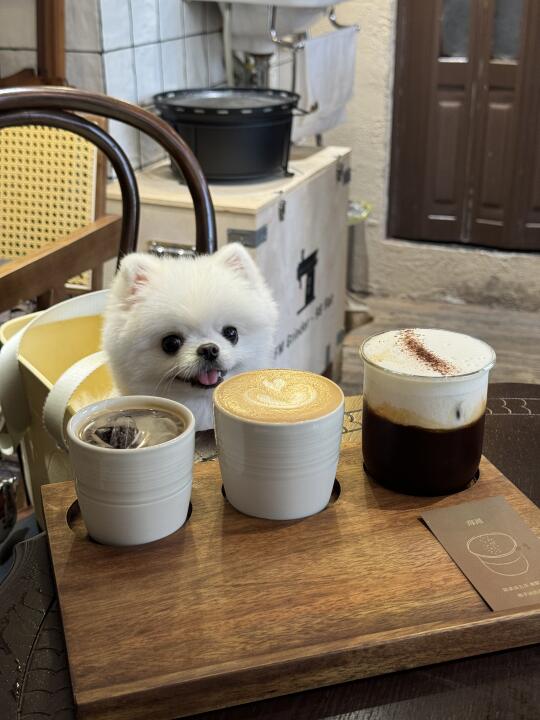 不分我一杯吗☕️