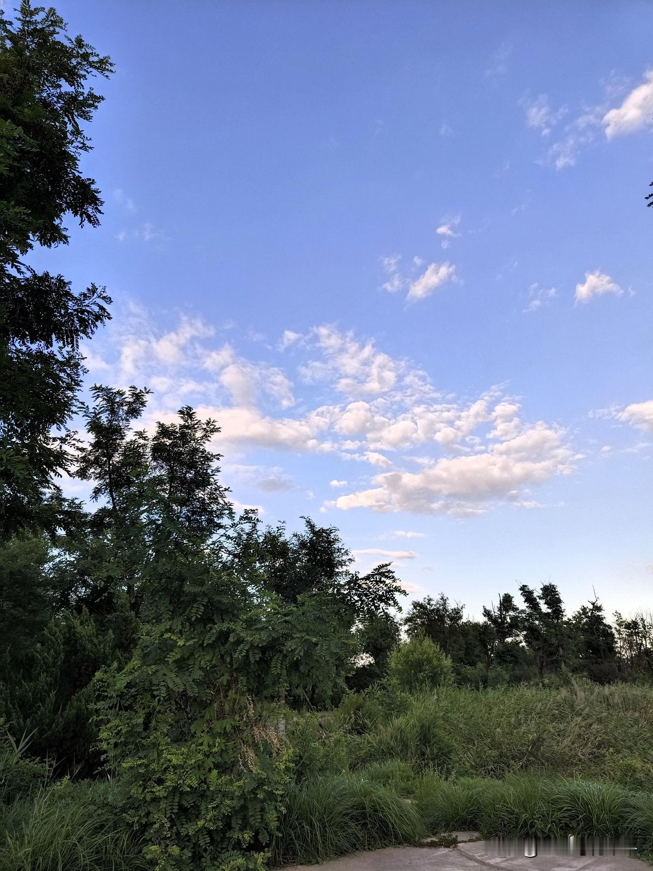 这天也太凉爽了吧！还没到盛夏怎么感觉就直接立秋了！一早一晚的穿半袖都感觉冷，多少