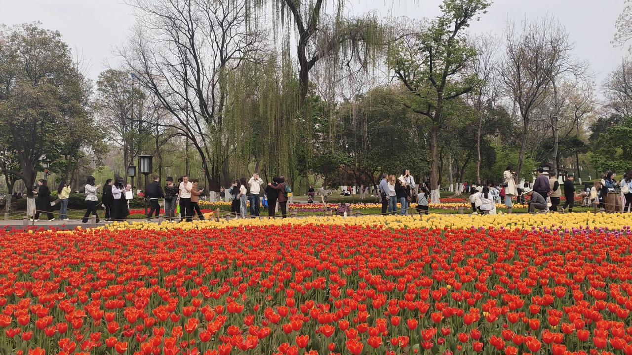 大唐春色—小试牛刀

四月初的兴庆宫公园，春花烂漫，游人如织。新手机小米小试牛刀