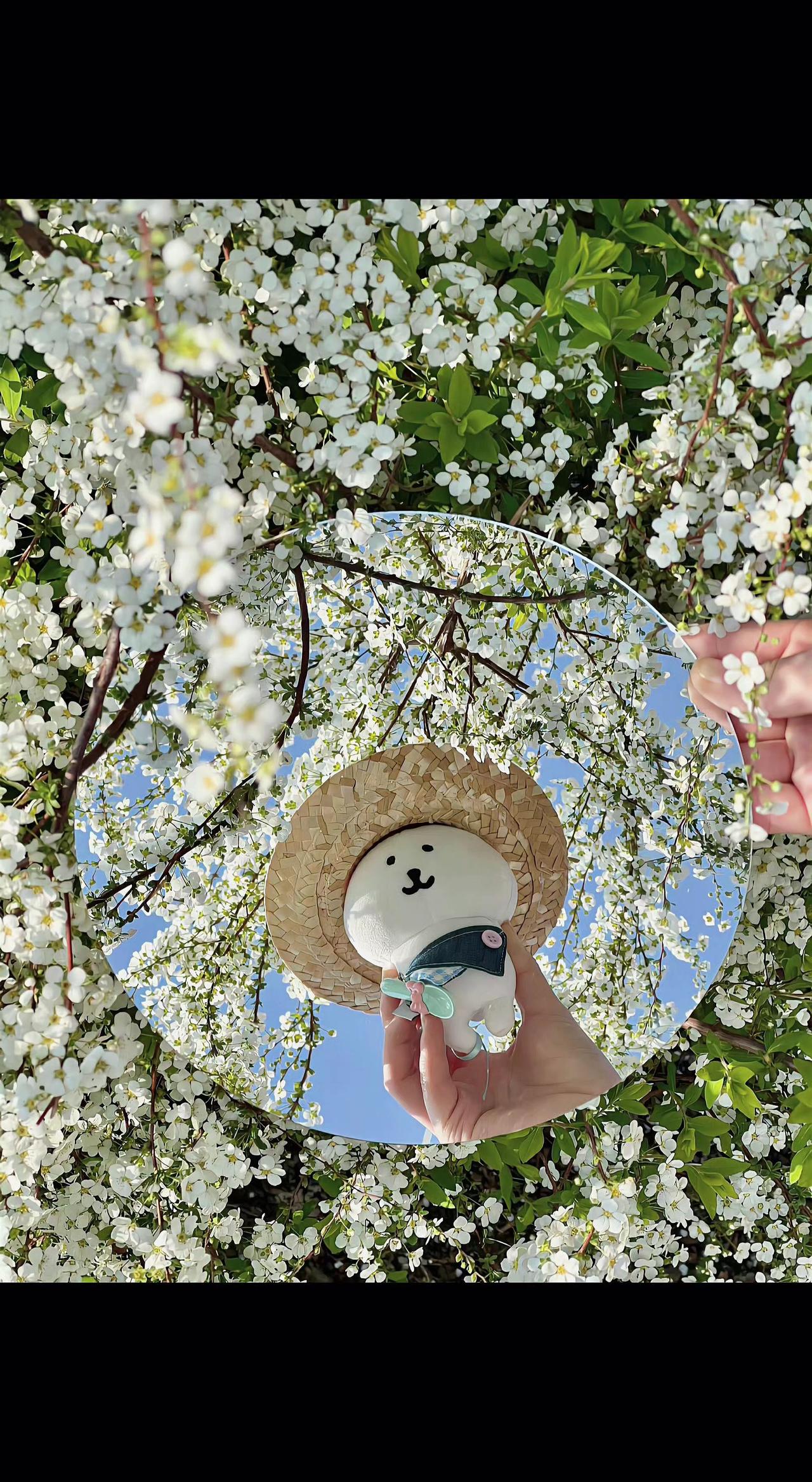 🌸把春天装进镜子里啦！小玩偶戴着草帽，在花海里偷喝阳光✨。人间四月，是自然写给