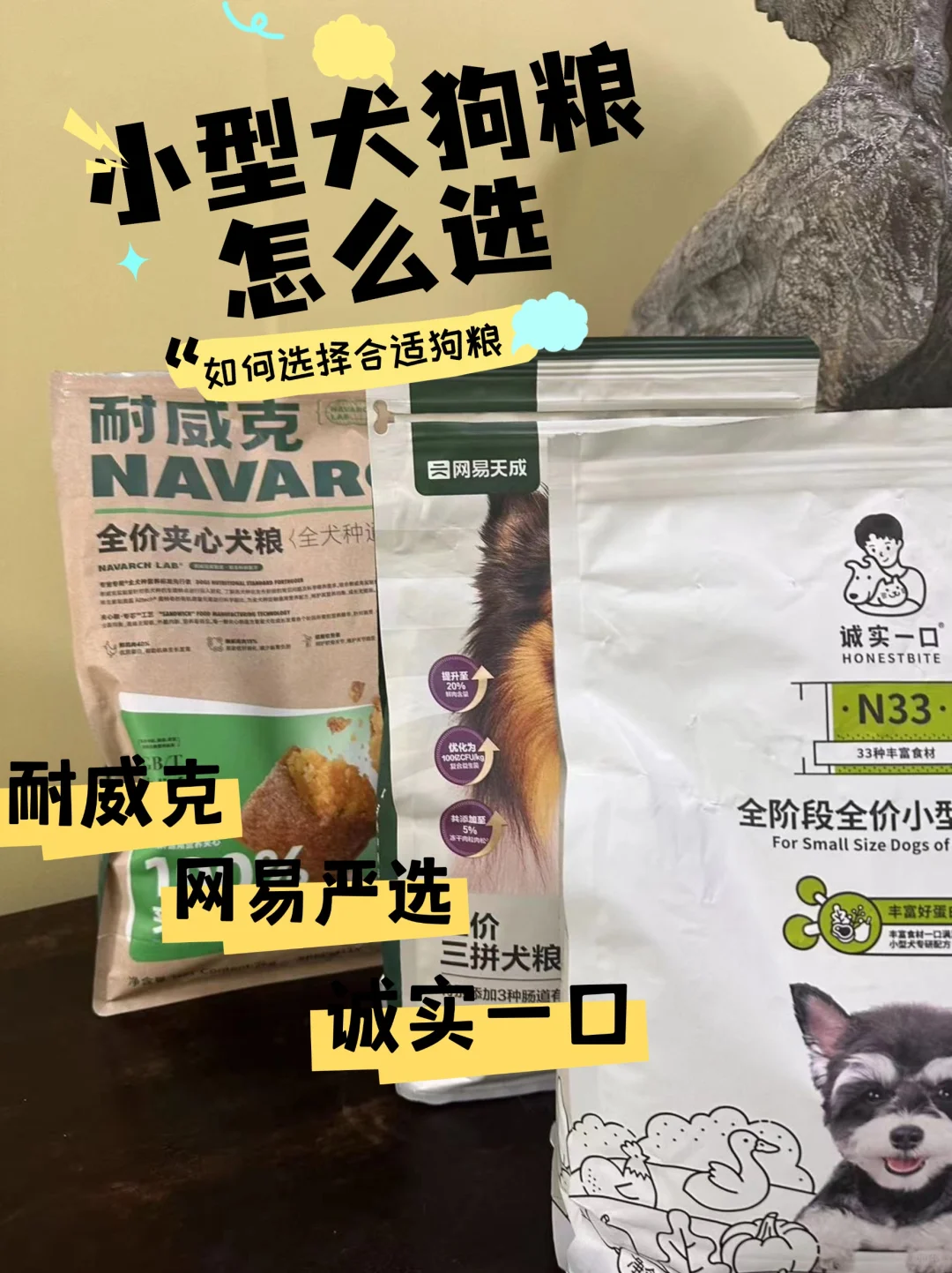 如何养出棉花糖一般的比熊