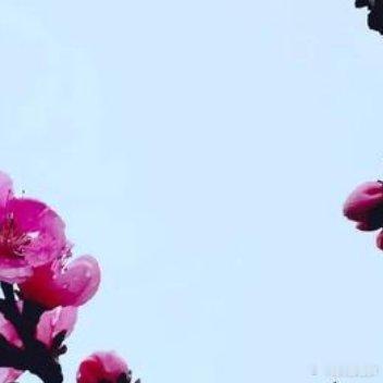 祝您鲜花含苞欲放，事业蒸蒸日上，礼炮隆隆声响，财源久久长长 