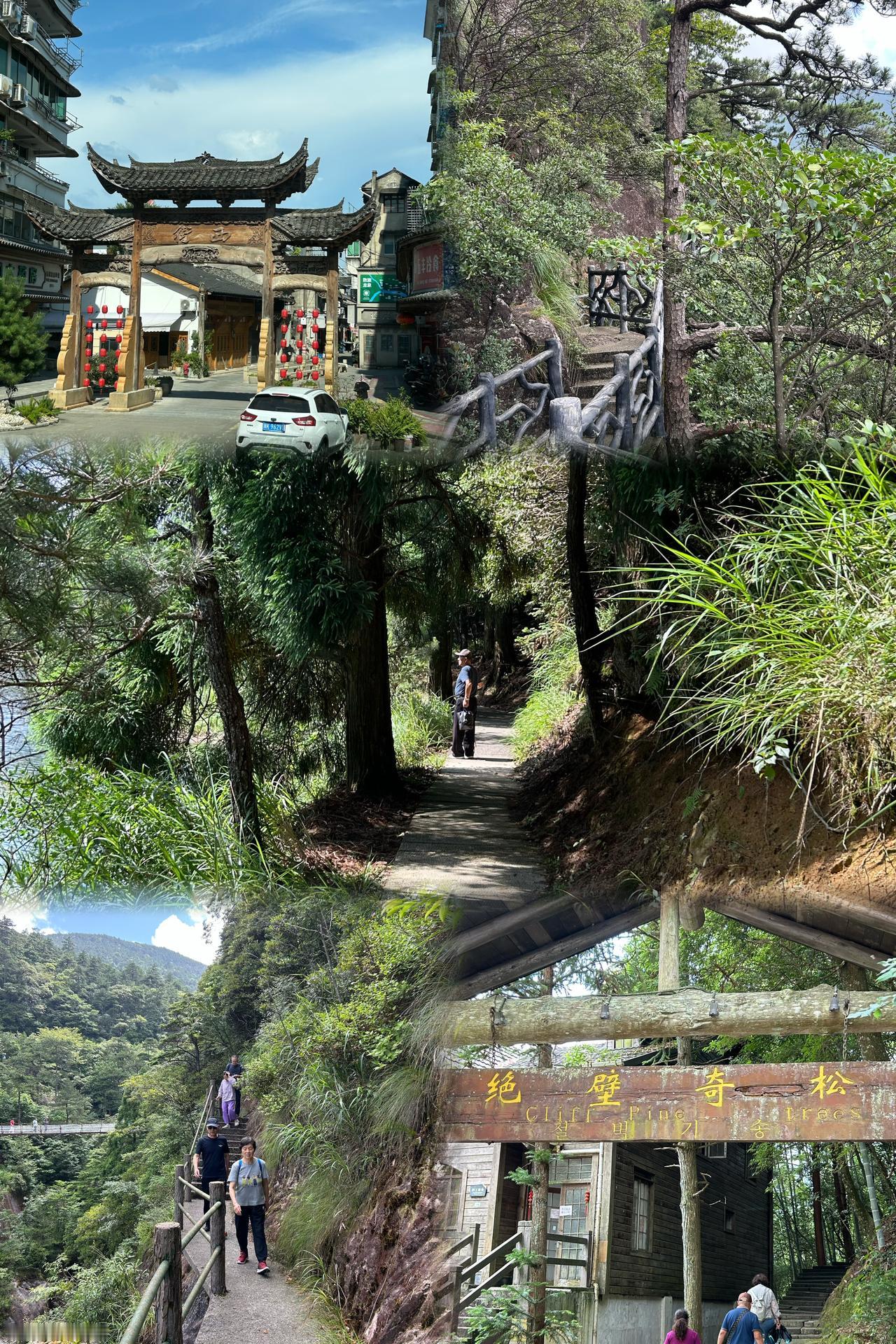 不负山野，不负风光，这就是龙泉山独有的浪漫与壮阔✨