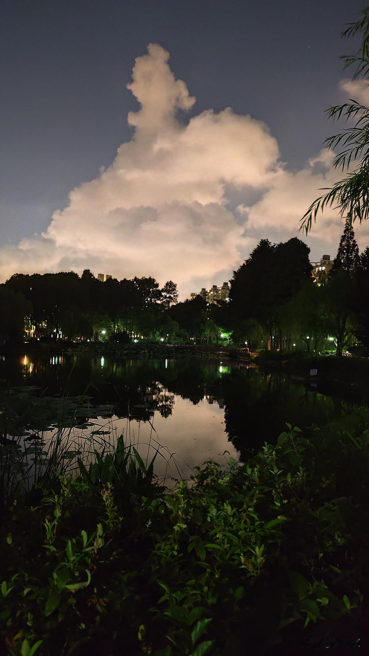 有没有好看的风景图片分享公园夜晚景如画