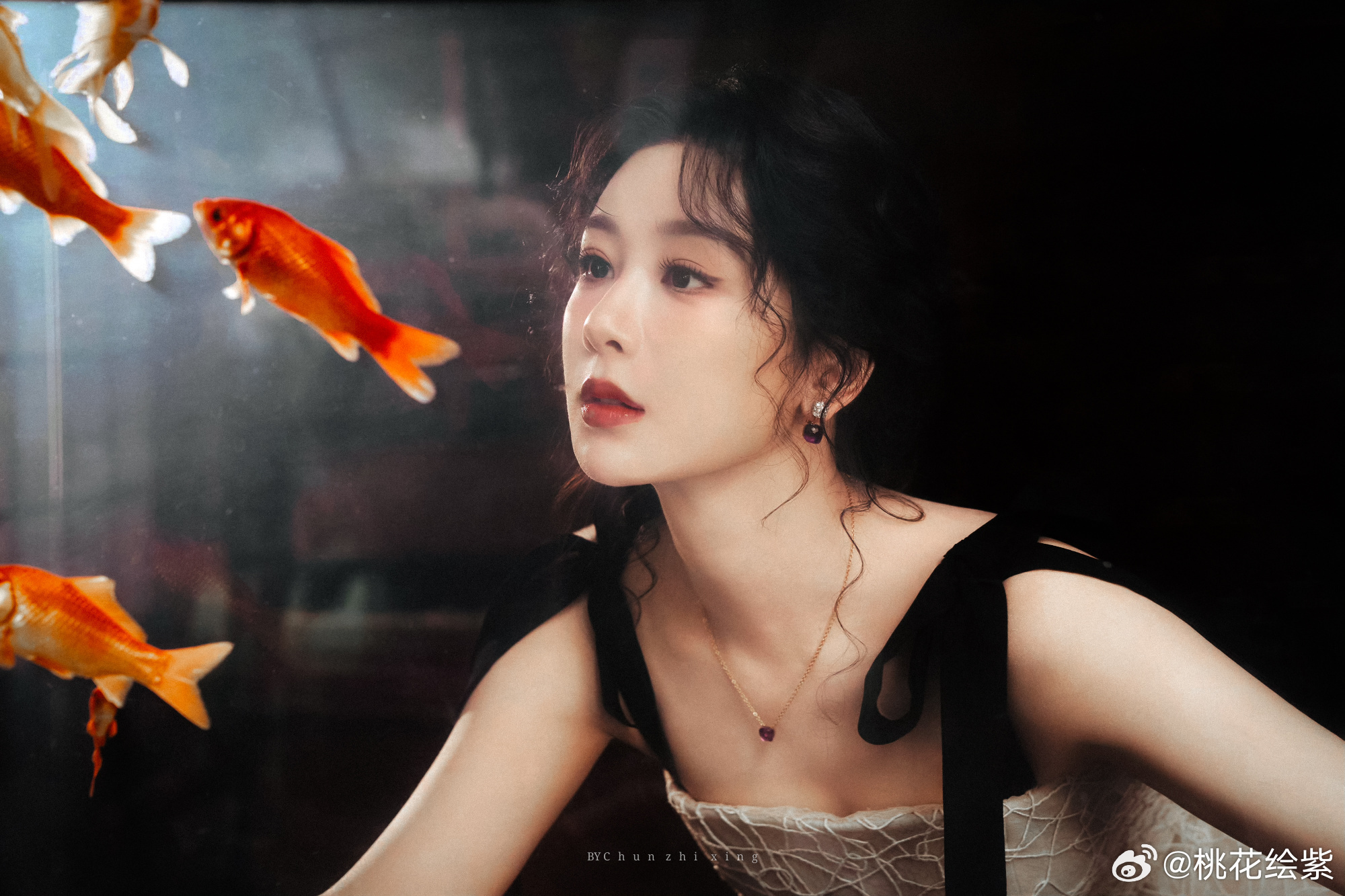 杨紫 yz杨紫生命树yz杨紫白菊“是动听的情话，是虔诚的祈求，是愿你岁岁平安”【