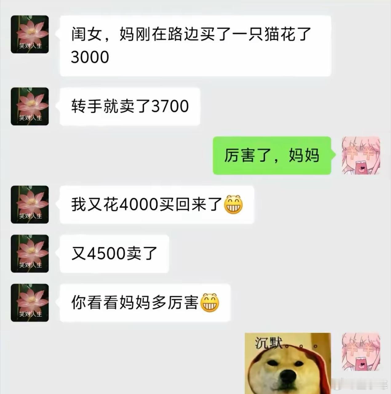 所以卖猫到底赚了多钱 ​​​