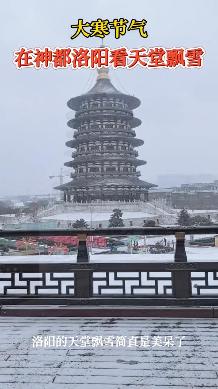 大寒节气：在神都洛阳看天堂飘雪。
洛阳的天堂飘雪简直是美呆了。
