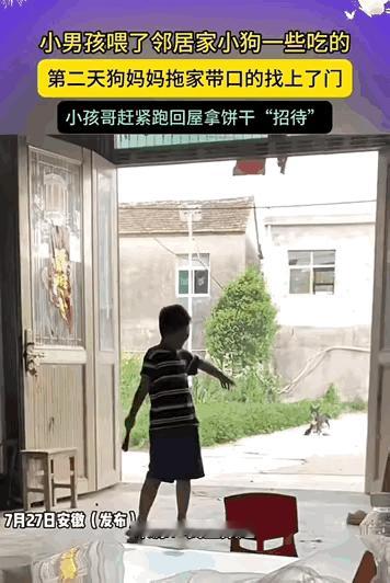 安徽一男孩投喂邻居家狗崽后，次日狗妈妈带狗宝宝上门“感谢”。见狗狗无精打采，男孩