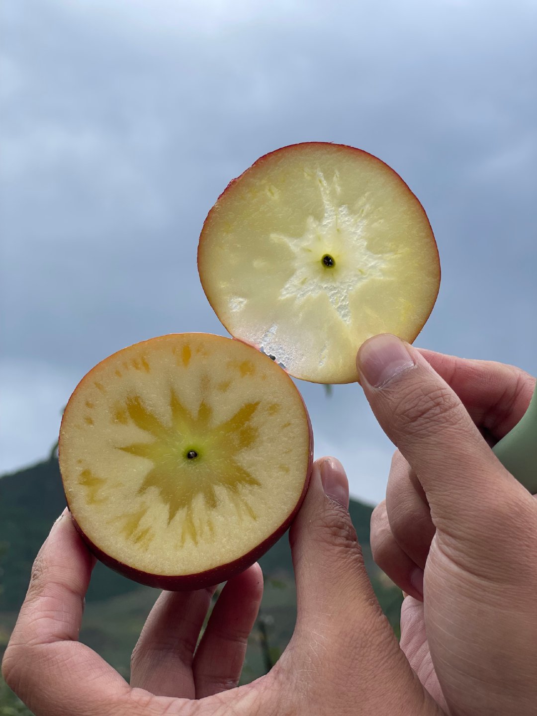去年卖爆的大凉山丑苹果又上线了！已经不用过多介绍了，建议大家分早中晚三次购买，体