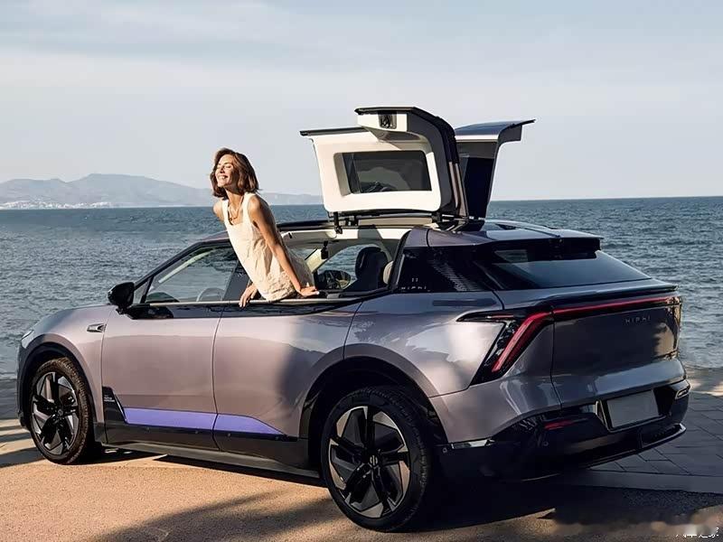 高合汽车重整计划出炉快复活吧，汽车界的开闭件专家有人知道这个平开门+鸥翼门对于拆