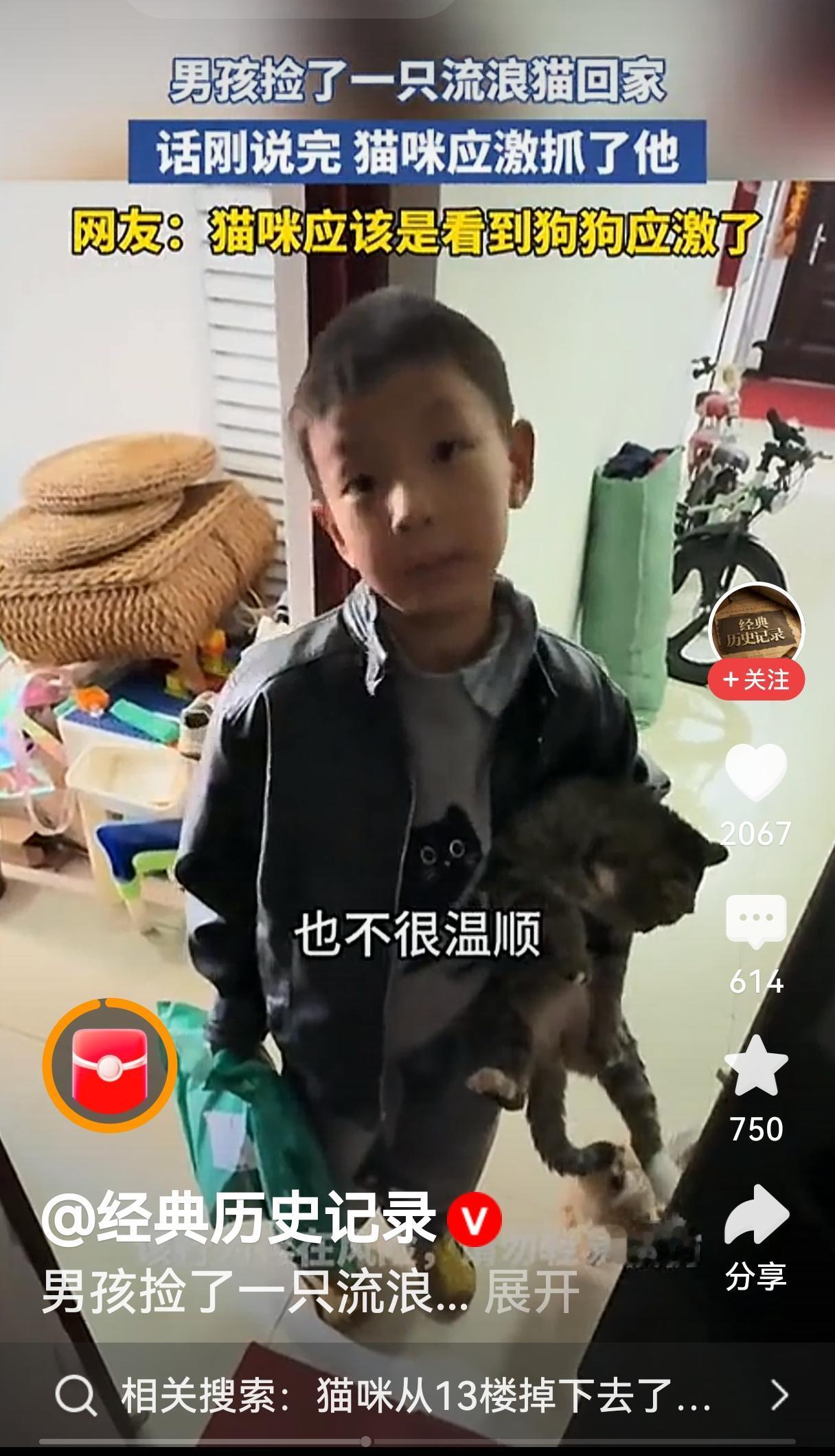 流浪猫身上有各种病菌，被抓伤后非常危险，需要及时接种疫苗并持续观察，防止后续发生