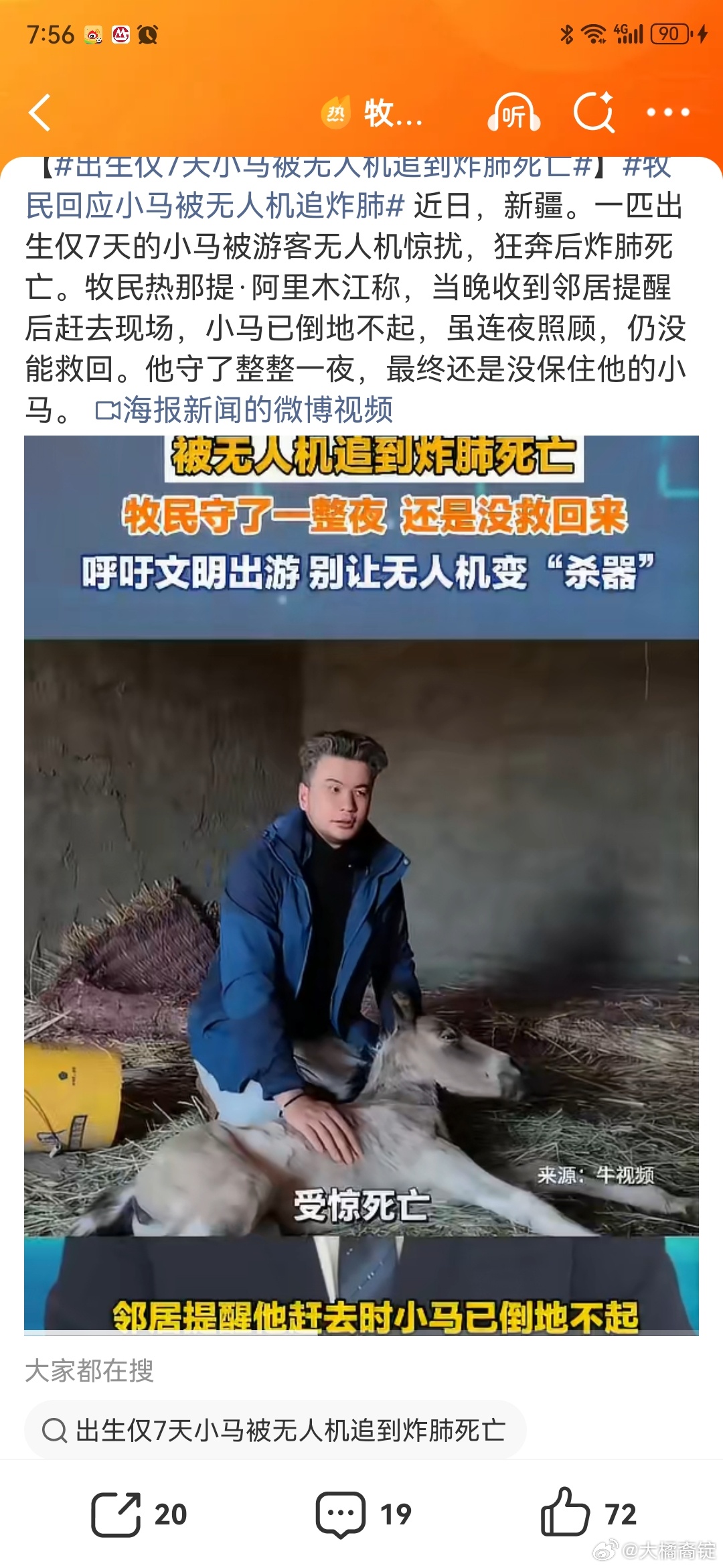 牧民回应小马被无人机追炸肺刚出生7天的小马完全可能在极度惊吓后出现“炸肺”而死亡