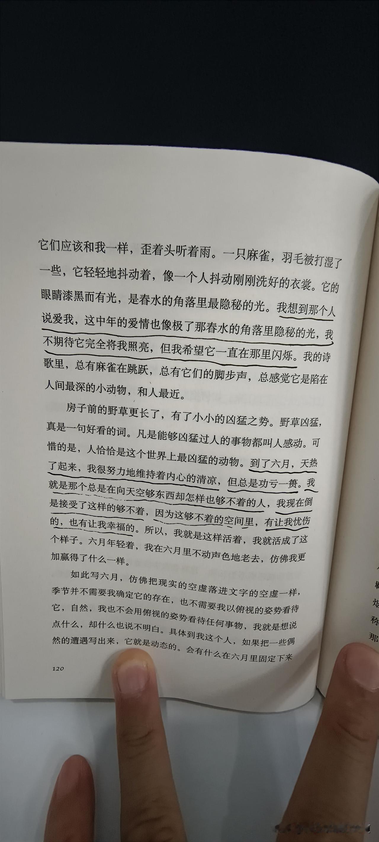 在北京静候的闲适时光里，我翻开一段文字。
恍惚间，我已分不清，究竟是自己误入了文